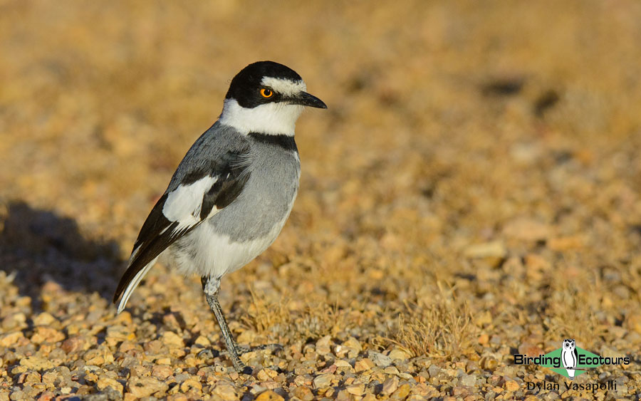 Namibia and Botswana photography tour