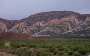 Northeast Argentina birding tours