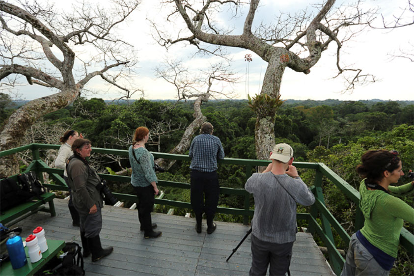 Napo Wildlife Center