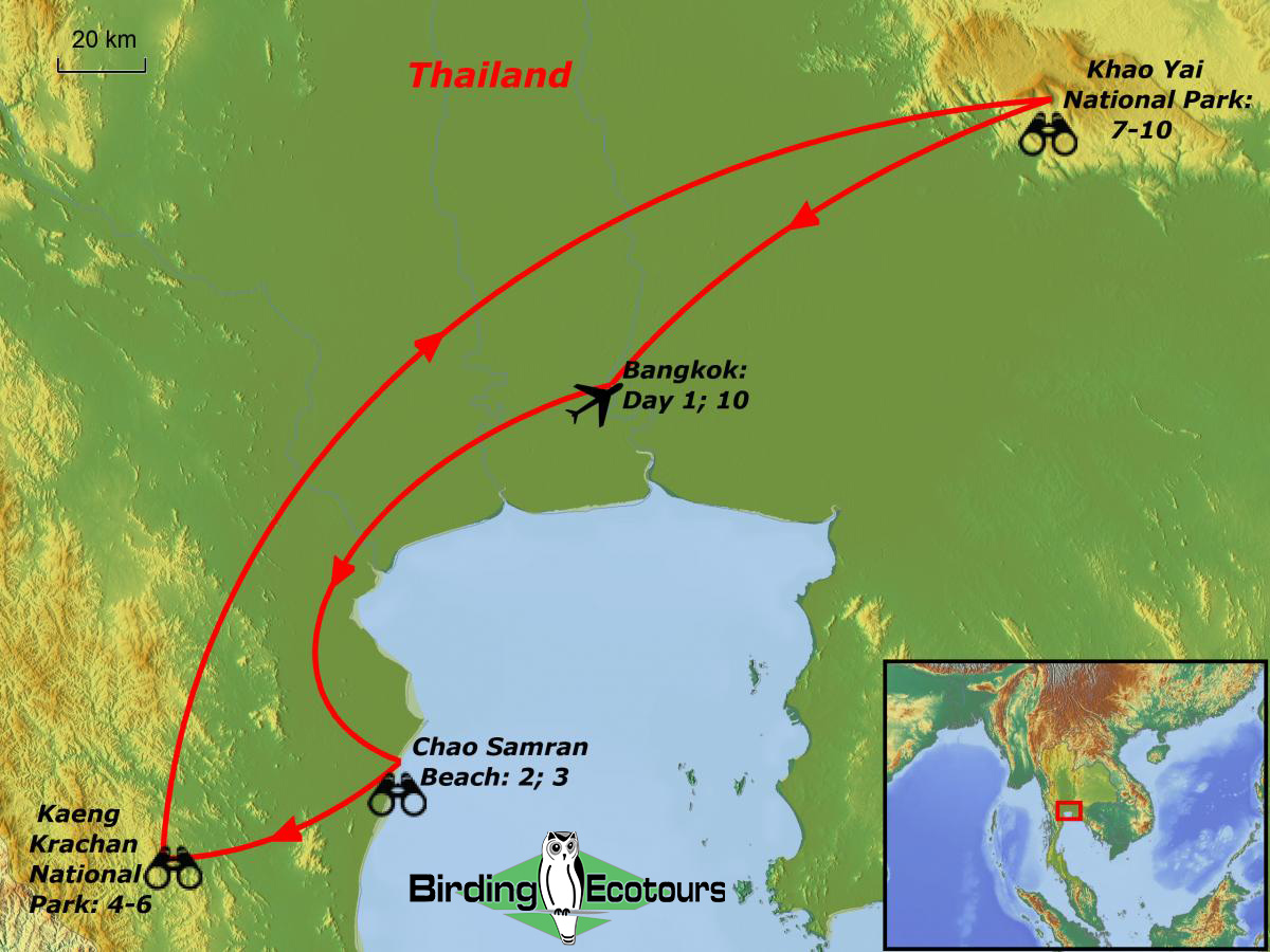 Map of birding tour in Central Thailand: Shorebird Spectacle & Jungle Birding January 2023