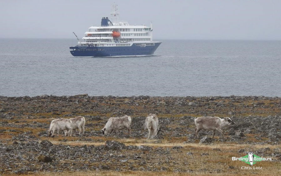 Svalbard Arctic cruise trip report