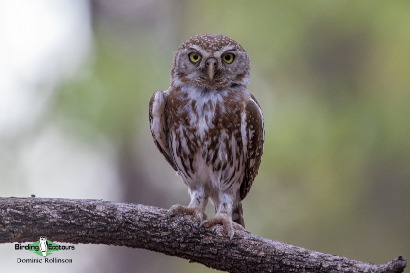 Namibia trip report