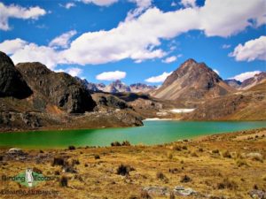 Central Peru trip report
