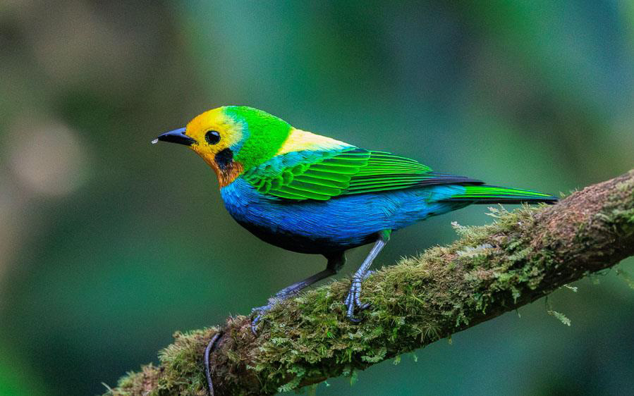 Colombia trip report