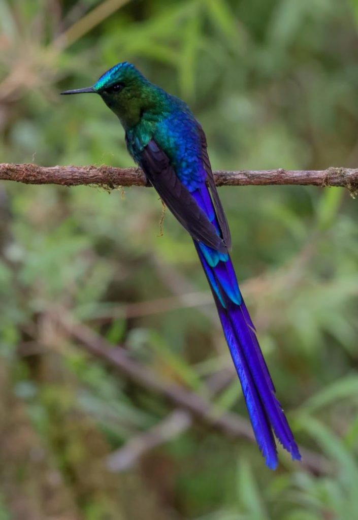 Colombia trip report