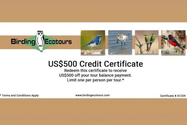 Birding Ecotours Certificate promotion