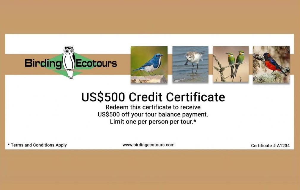 Birding Ecotours Certificate promotion