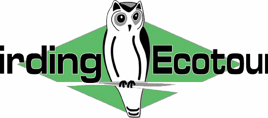 Birding Ecotours