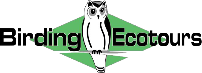 Birding Ecotours Logo