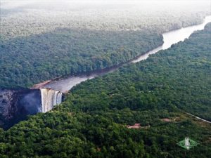 Guyana birding