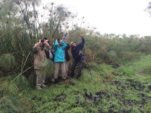 People and birding