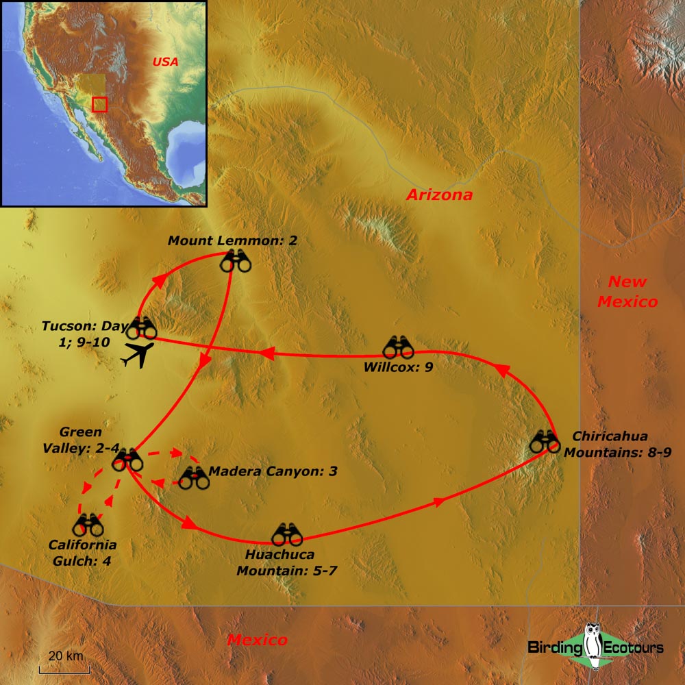 Map of birding tour in USA: Comprehensive Southeast Arizona – The Desert & Sky Islands August 2023