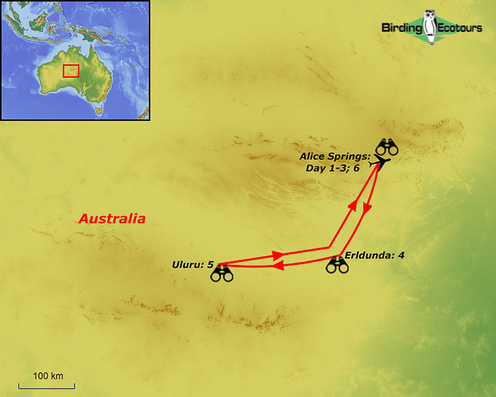 Map of birding tour in Australia: Northern Territory – Alice Springs Birding October 2023/September 2024