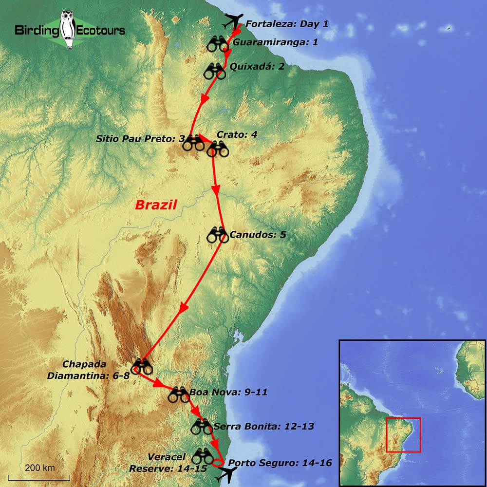 Map of birding tour in Northeastern Brazil: Araripe Manakin, Lear’s Macaw & other endemics November 2023