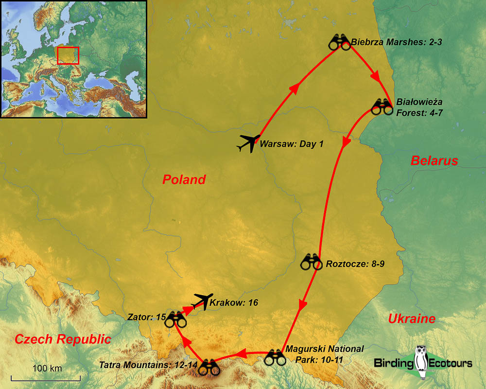 Map of birding tour in Poland: Best of Eastern Europe April 2023