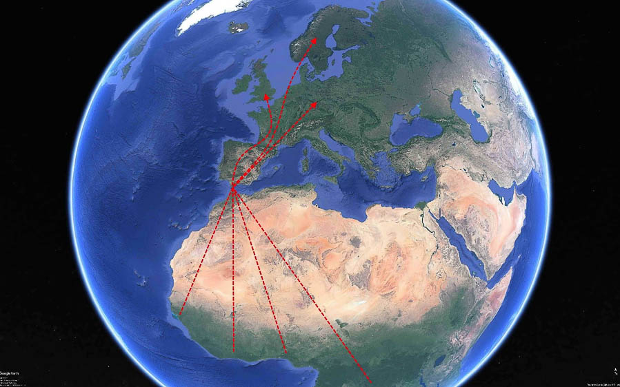 When to visit Spain for birding