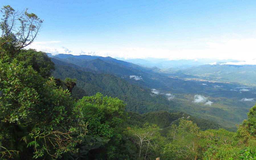 Colombia birding tours