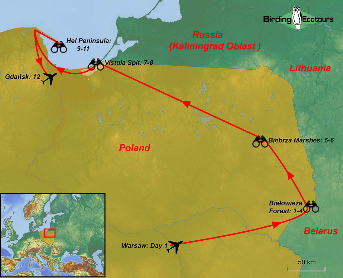 Map of birding tour in Poland: Birding the Baltic Coast & East in Fall