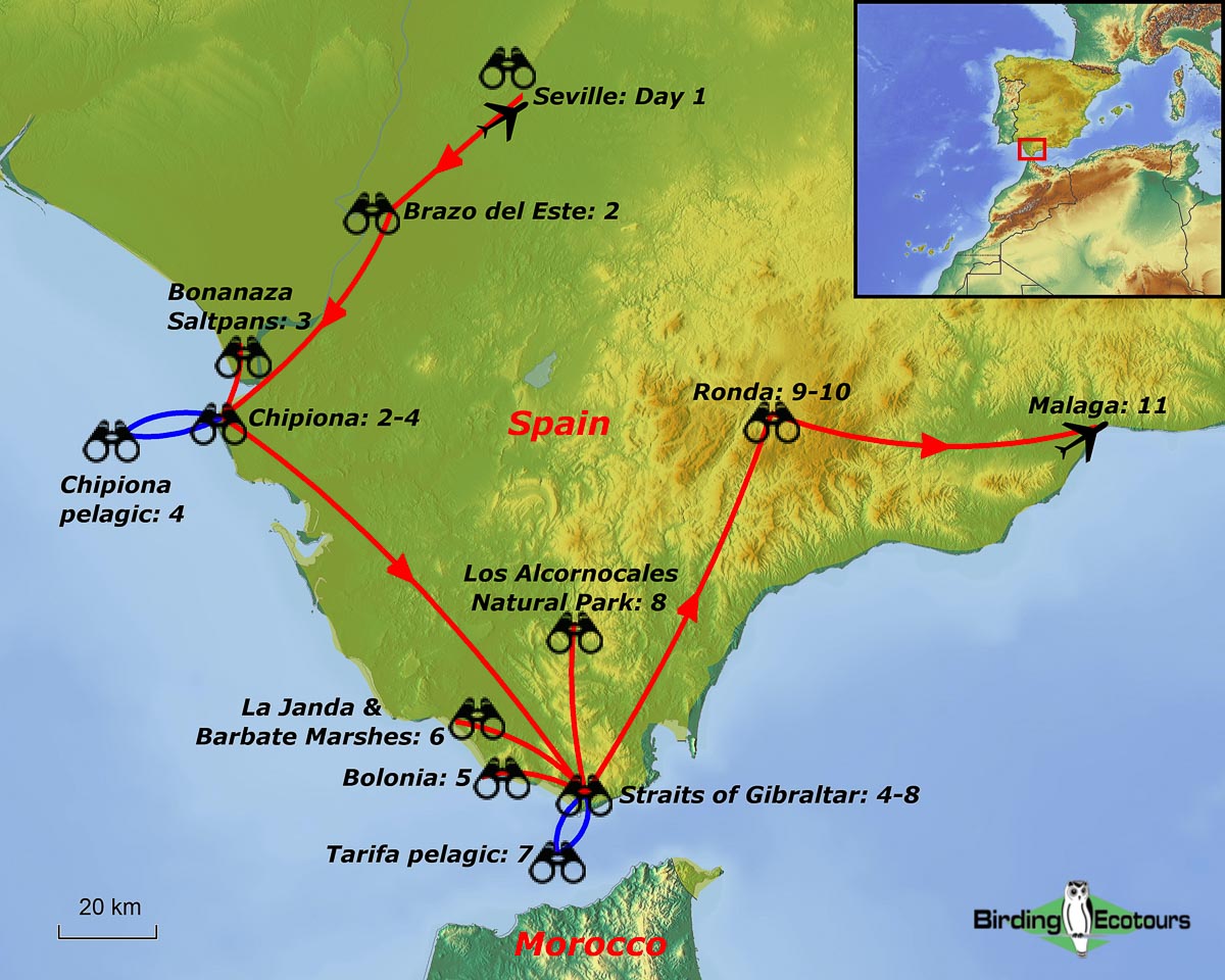 Map of birding tour in Spain: Birding Andalusia in Fall September 2023/2024/2025