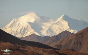 Alaska birding tours