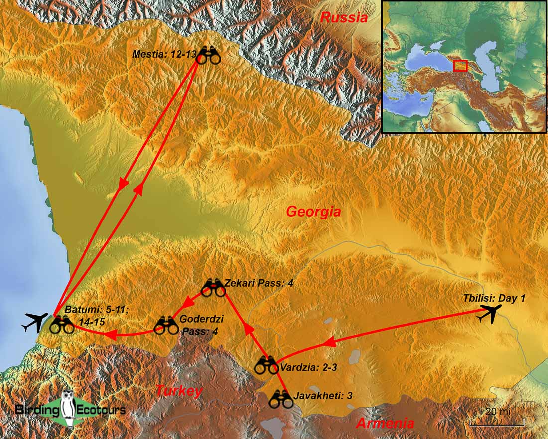 Map of birding tour in Georgia: Eagles & Endemics in Fall September 2024