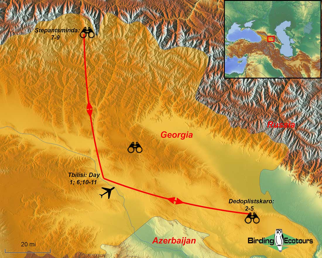 Map of birding tour in Georgia: Mountain & Steppe Birding in Winter March 2024