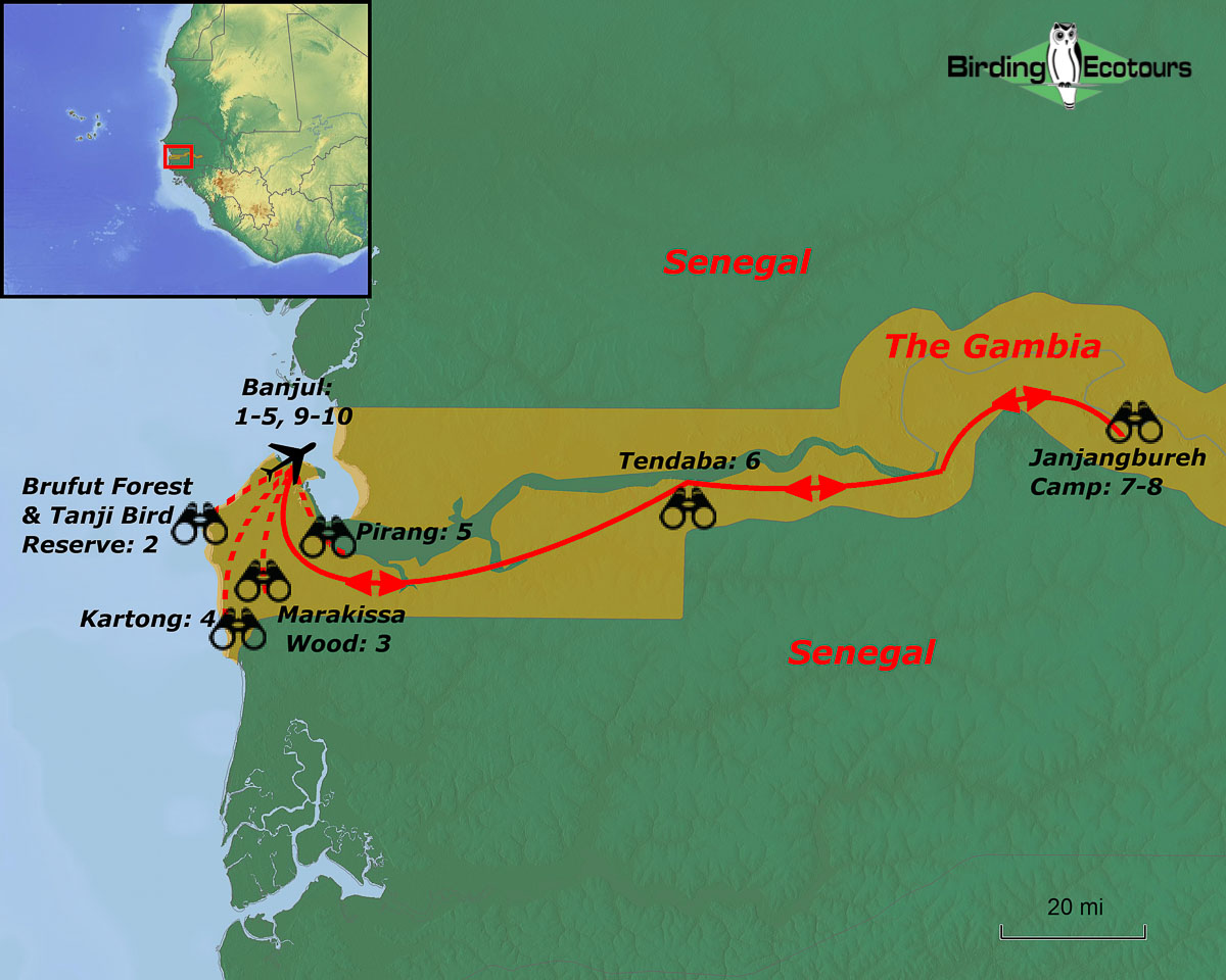 Map of birding tour in The Gambia: Gateway to Africa Tour November-December 2022/2023/2024