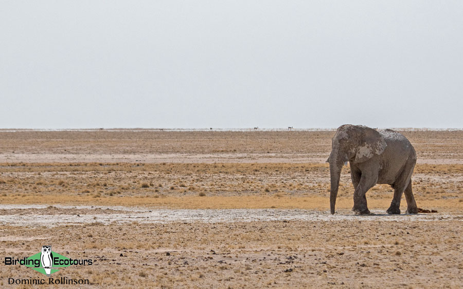 Complete Namibia