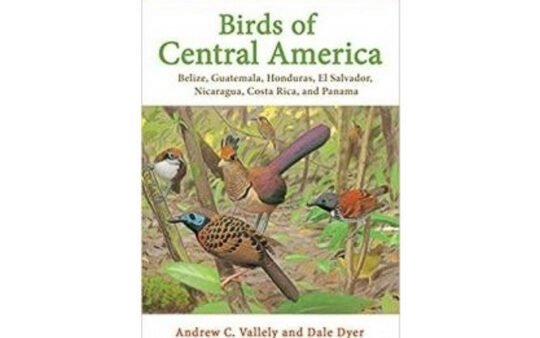 Field guides of neotropics