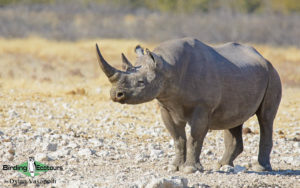 Complete Namibia