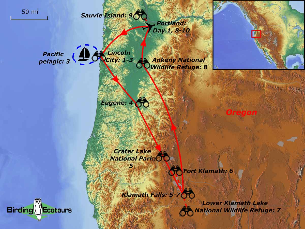 Map of birding tour in Oregon – Klamath Basin & the Coast October 2023
