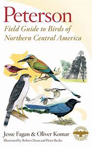 Birds of Northern Central America