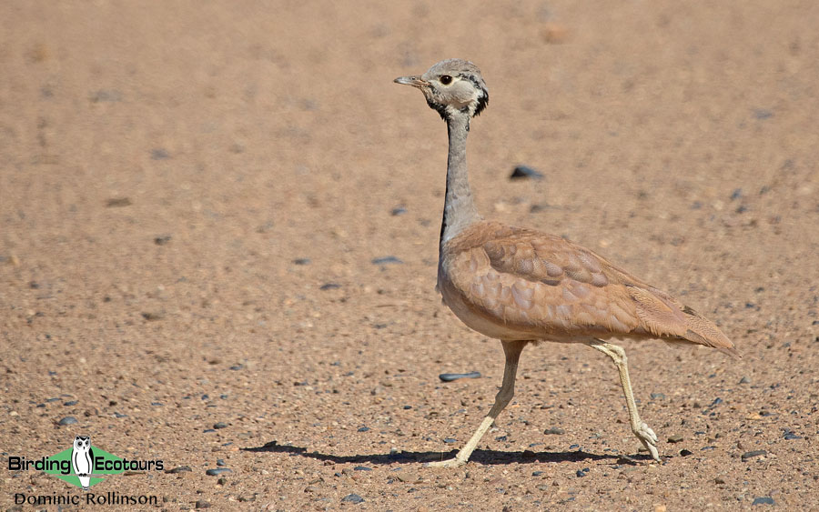 Complete Namibia