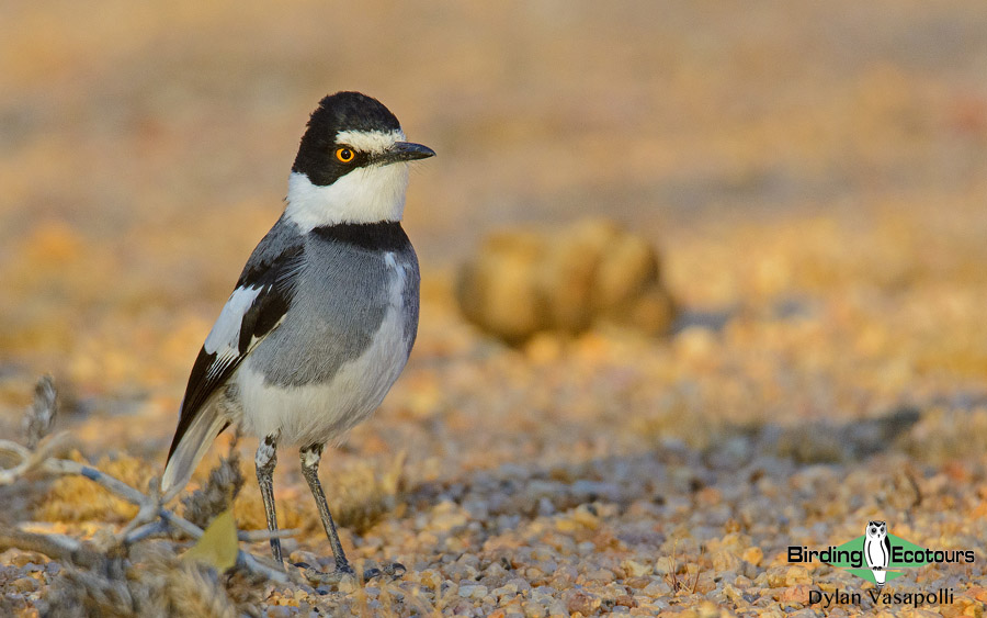 Complete Namibia