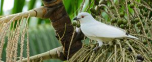 Northern Ecuador