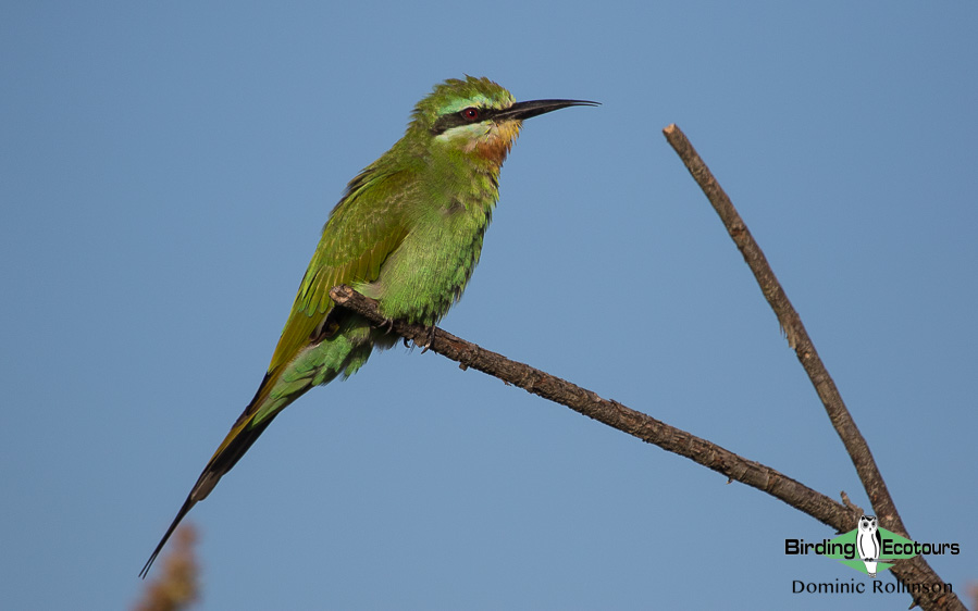 maputo special reserve