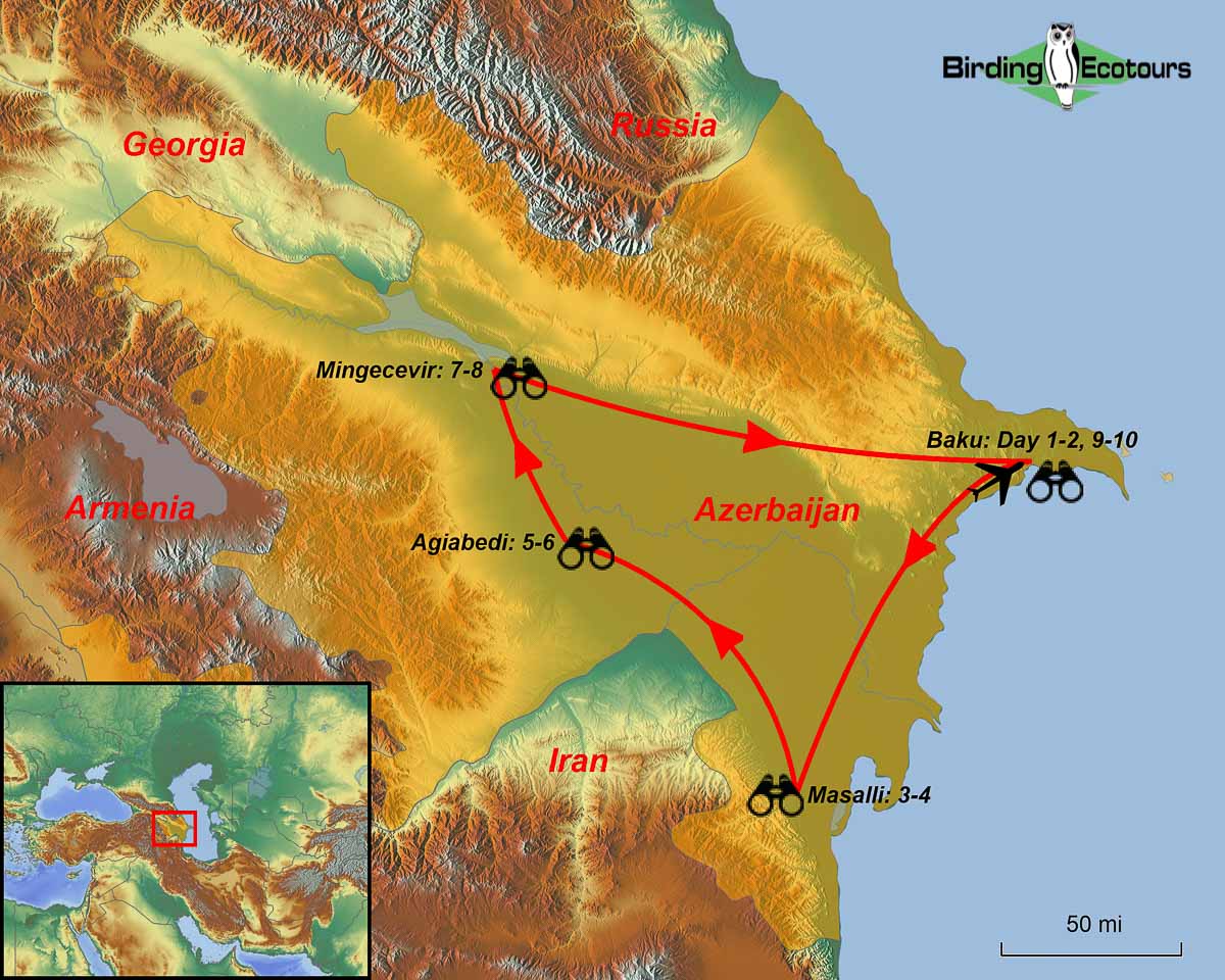 Map of birding tour in Azerbaijan: The Enchanting East January 2024
