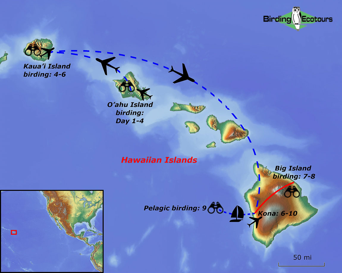 Map of birding tour in USA: Hawaii – ABA & Endemic Birding in the Pacific January 2024