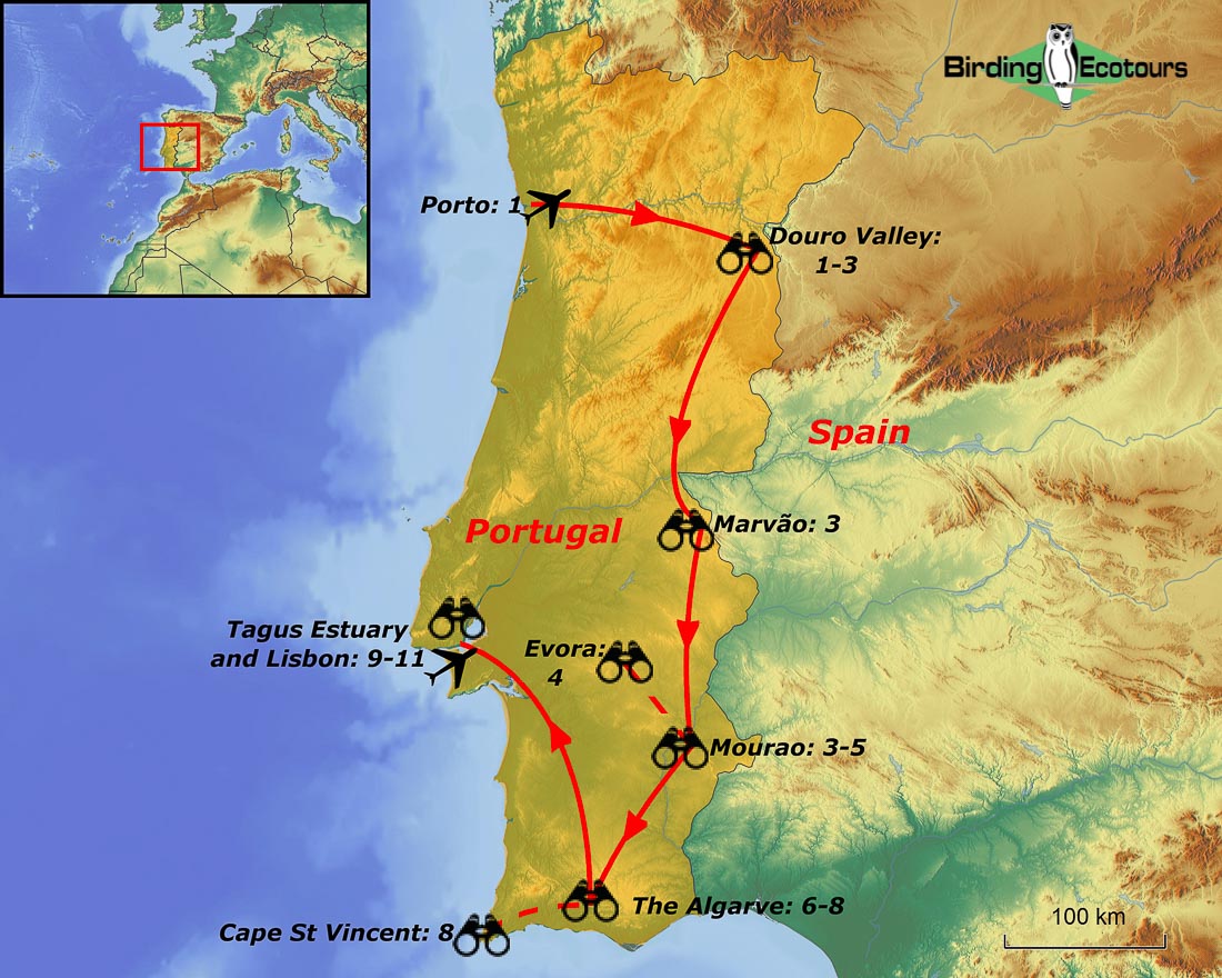 Map of birding tour in Portugal: Birding, Wine & Culture Tour November 2023/2024