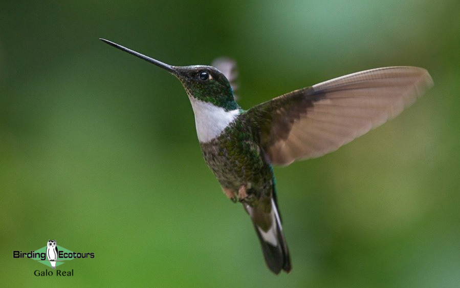 northern ecuador report