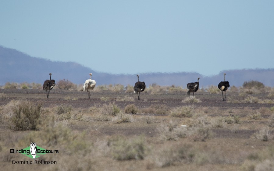 Tankwa Karoo Report