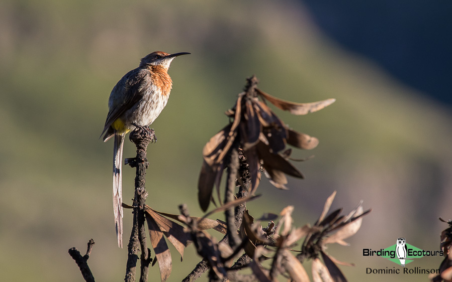 Sani Pass Report