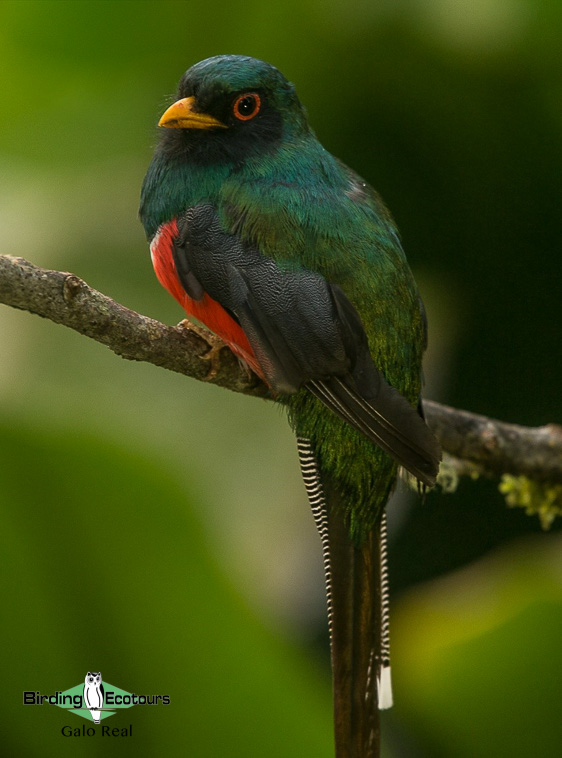 northern ecuador report