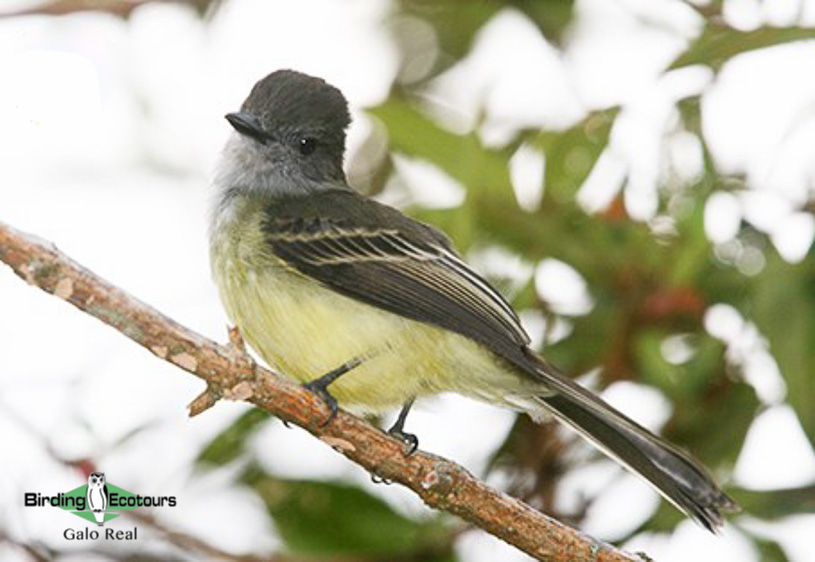 northern ecuador report