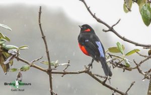 northern ecuador report