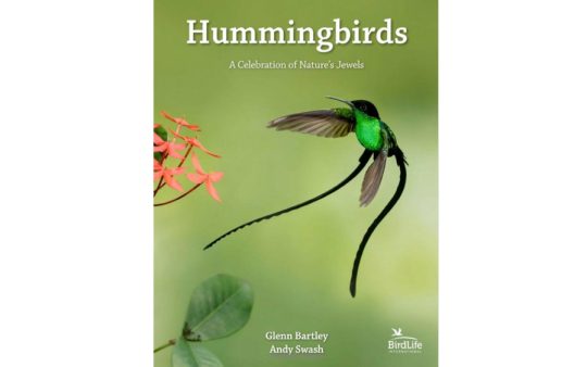 Hummingbirds bird book review
