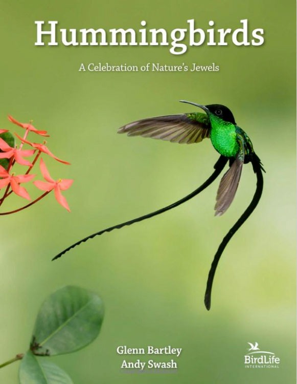 hummingbirds book review