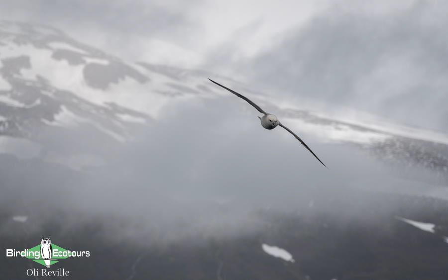 Iceland trip report 2022
