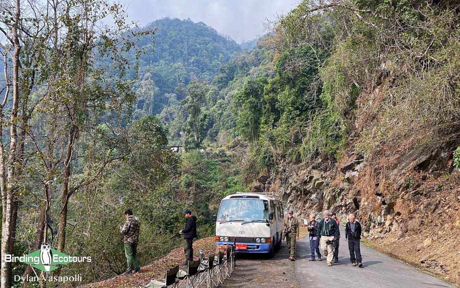 Himalayas birding tour