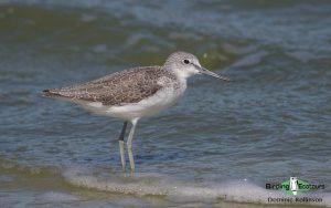 Norfolk coast day tours